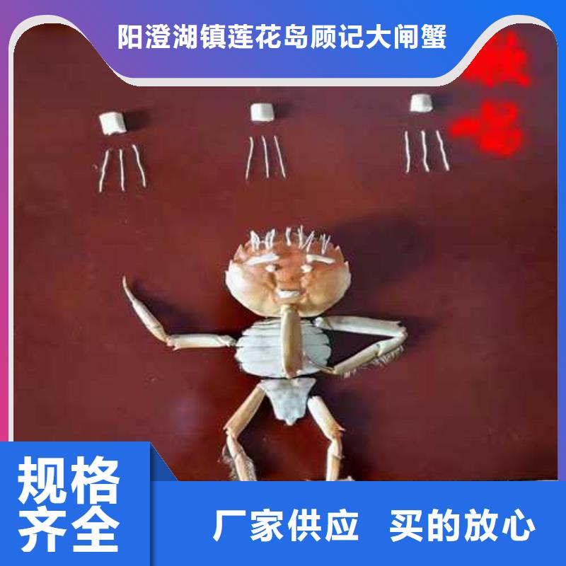 网上订购大闸蟹-视频-阳江市网上订购大闸蟹-附近可服务区域阳春|阳西|珠海|潮州|中山|佛山