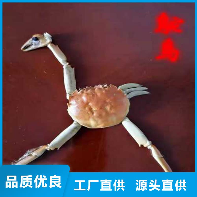 网上订购大闸蟹-视频-网上订购大闸蟹-辽宁省丹东市该地制造商-振安|凤城|沈阳|抚顺|铁岭|大连|鞍山|葫芦岛
