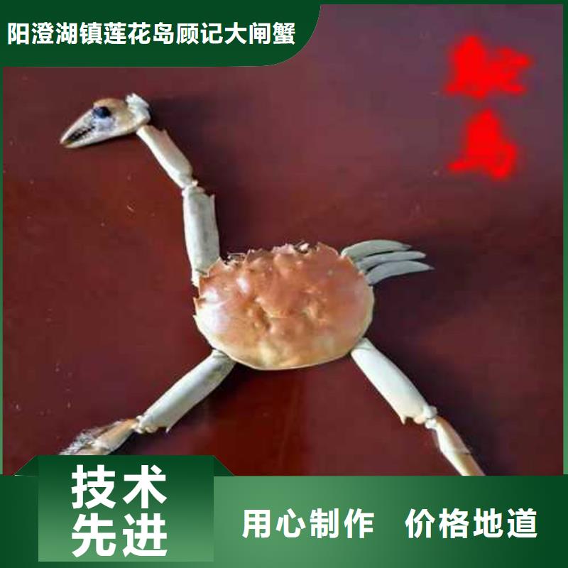 阳澄湖买蟹哪家好吃苏州这里好