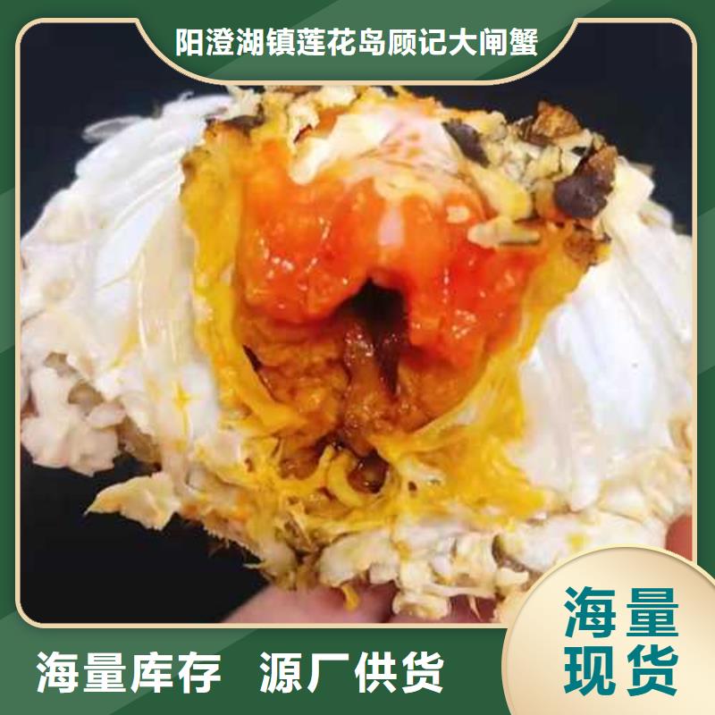 网上订购大闸蟹-视频-网上订购大闸蟹-阳澄湖镇岛顾记大闸蟹经营部(张家口市分公司)服务区域沽源|怀来|沧州|廊坊|邯郸|秦皇岛|保定