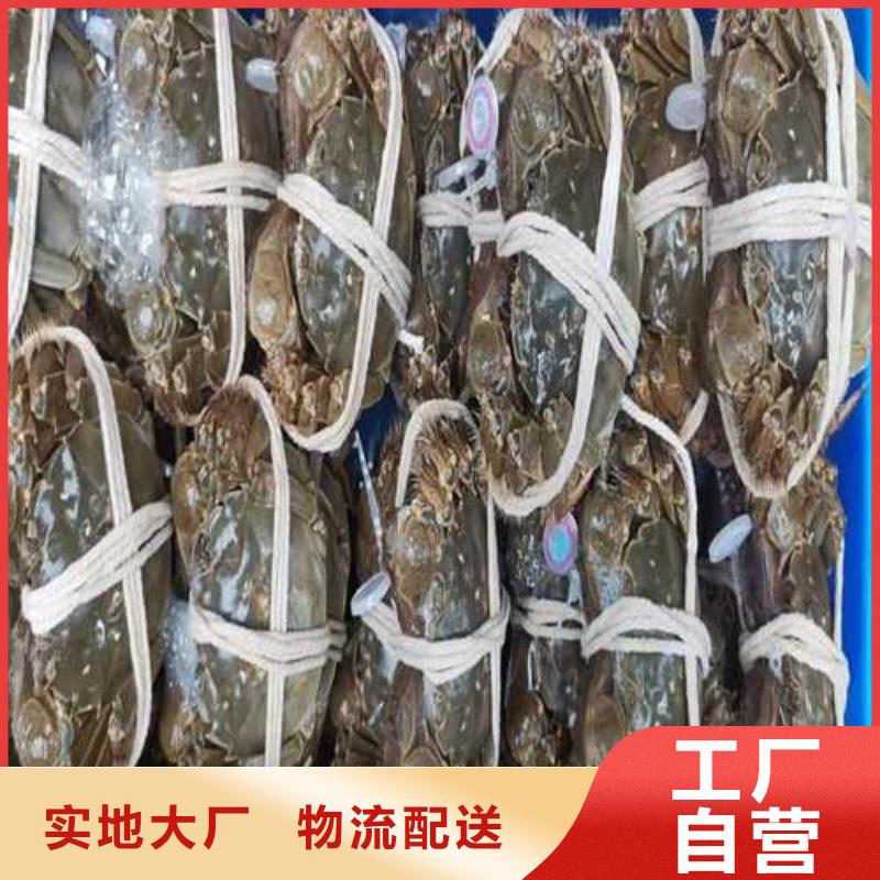 网上订购大闸蟹-视频-网上订购大闸蟹-阳澄湖镇岛顾记大闸蟹经营部(亳州市分公司)服务区域谯城|利辛|阜阳|宣城|池州|六安