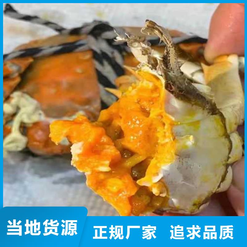 苏州阳澄湖大闸蟹哪家比较好吃