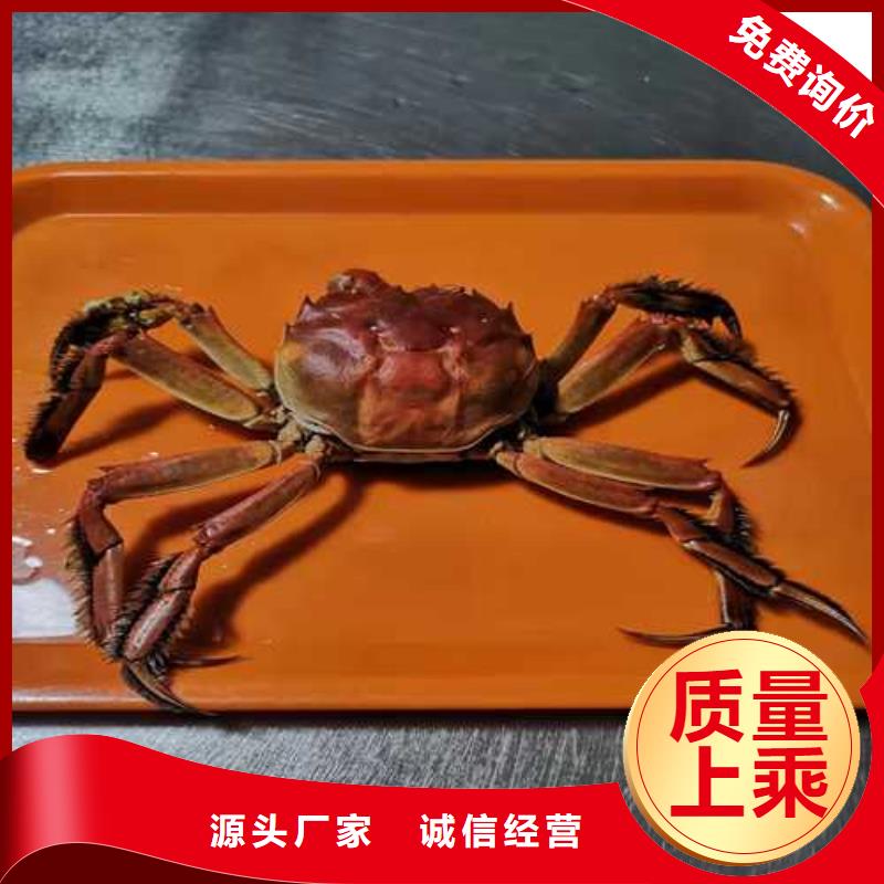 阳澄湖买大闸蟹哪家好苏州这里好