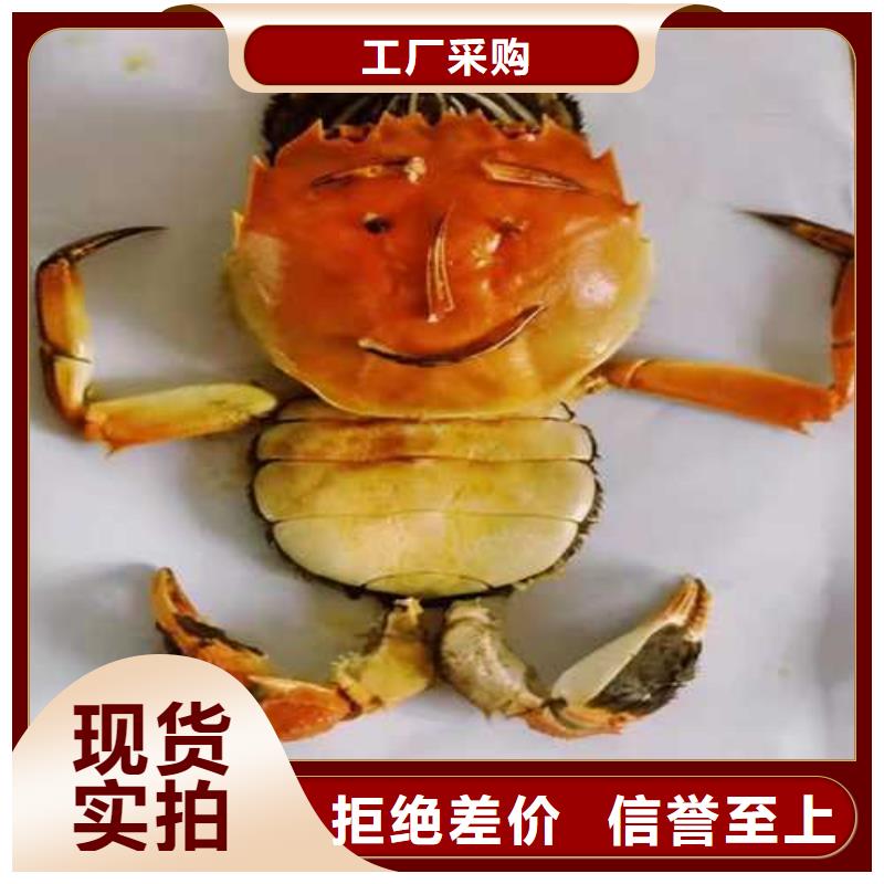 网上订购大闸蟹-视频-网上订购大闸蟹-阳澄湖镇岛顾记大闸蟹经营部(张家口市分公司)服务区域沽源|怀来|沧州|廊坊|邯郸|秦皇岛|保定