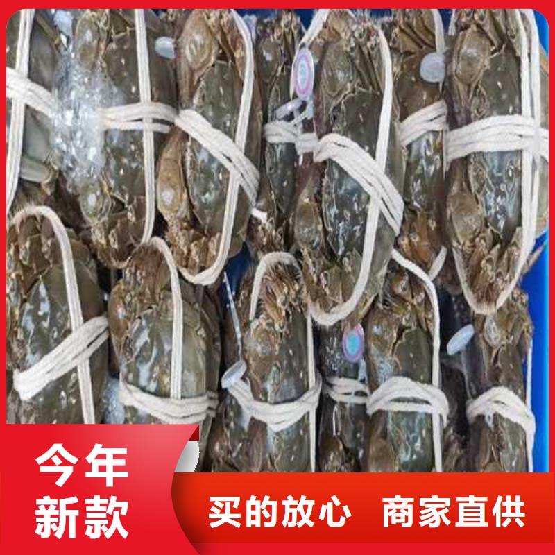 去阳澄湖买蟹哪里好在苏州阳澄湖
