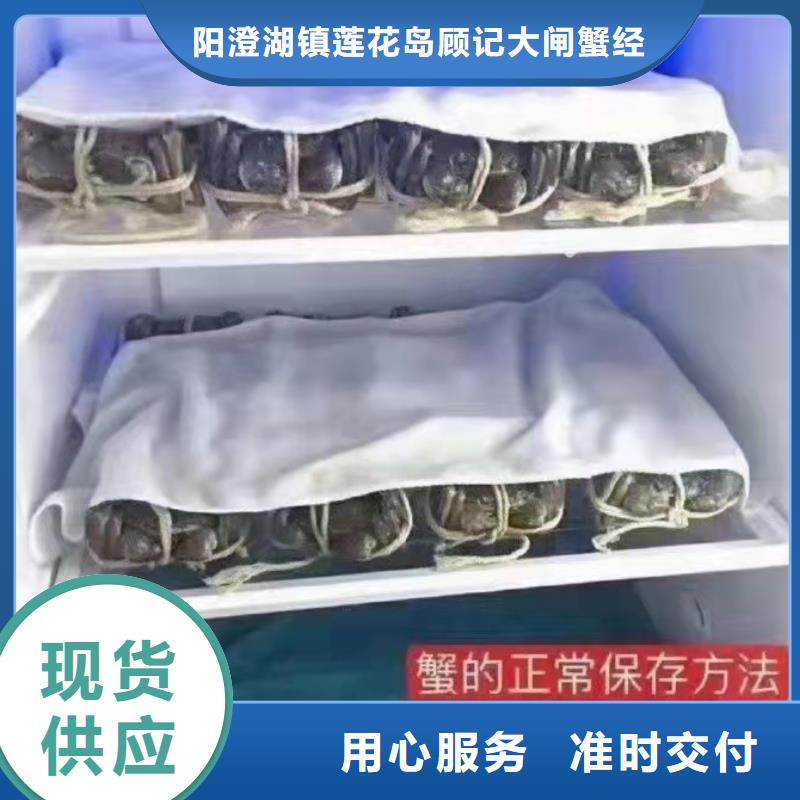 网上订购大闸蟹-视频-阆中|营山|攀枝花|雅安|绵阳|巴中|宜宾网上订购大闸蟹支持加工定制-阳澄湖镇岛顾记大闸蟹经营部(南充市分公司)
