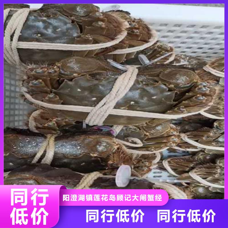 网上订购大闸蟹-视频-香洲|金湾|肇庆|惠州|深圳|汕头|韶关|东莞顾记网上订购大闸蟹_ 阳澄湖镇岛顾记大闸蟹经营部(珠海市分公司)