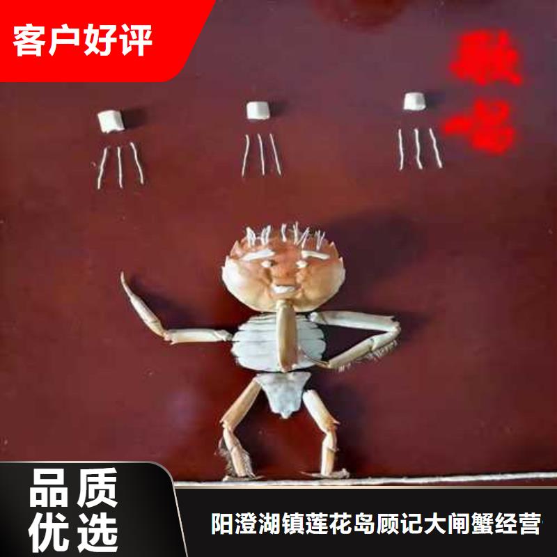 网上订购大闸蟹-视频-网上订购大闸蟹-阳澄湖镇岛顾记大闸蟹经营部(张家口市分公司)服务区域沽源|怀来|沧州|廊坊|邯郸|秦皇岛|保定