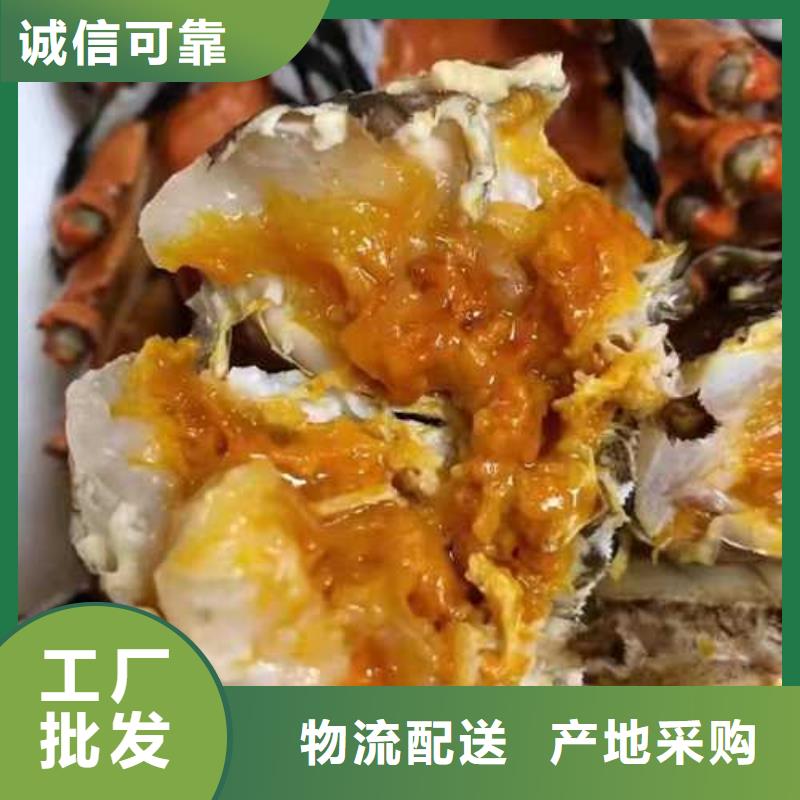 网上订购大闸蟹-视频-网上订购大闸蟹-辽宁省丹东市该地制造商-振安|凤城|沈阳|抚顺|铁岭|大连|鞍山|葫芦岛