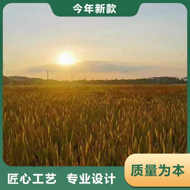 网上订购大闸蟹-视频-山东省淄博市顾记网上订购大闸蟹可服务区域高青|博山|菏泽|济宁|威海|临沂|枣庄等