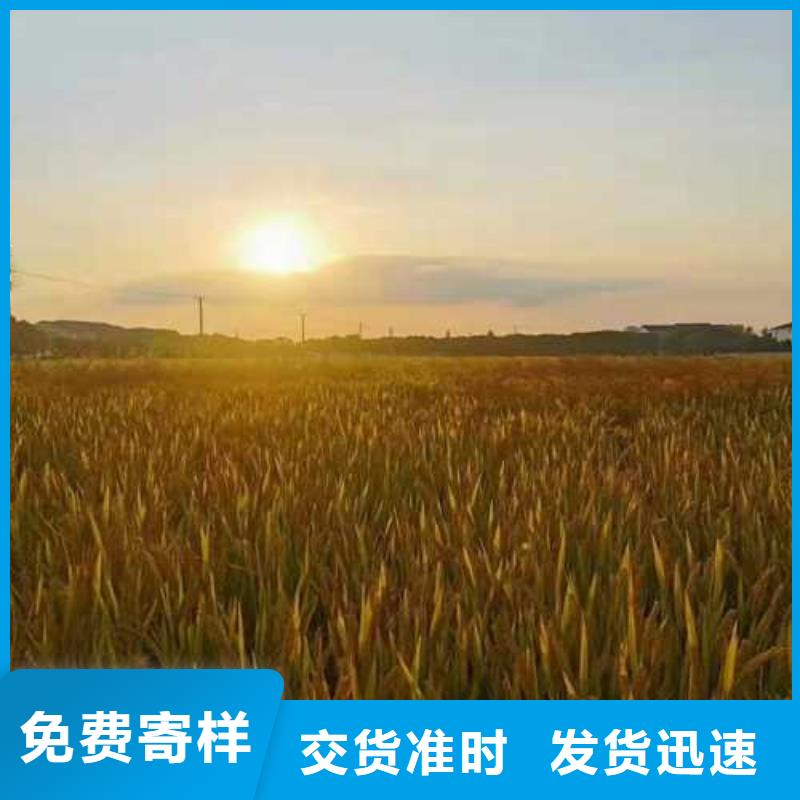阳澄湖大闸蟹哪家好苏州莲花岛