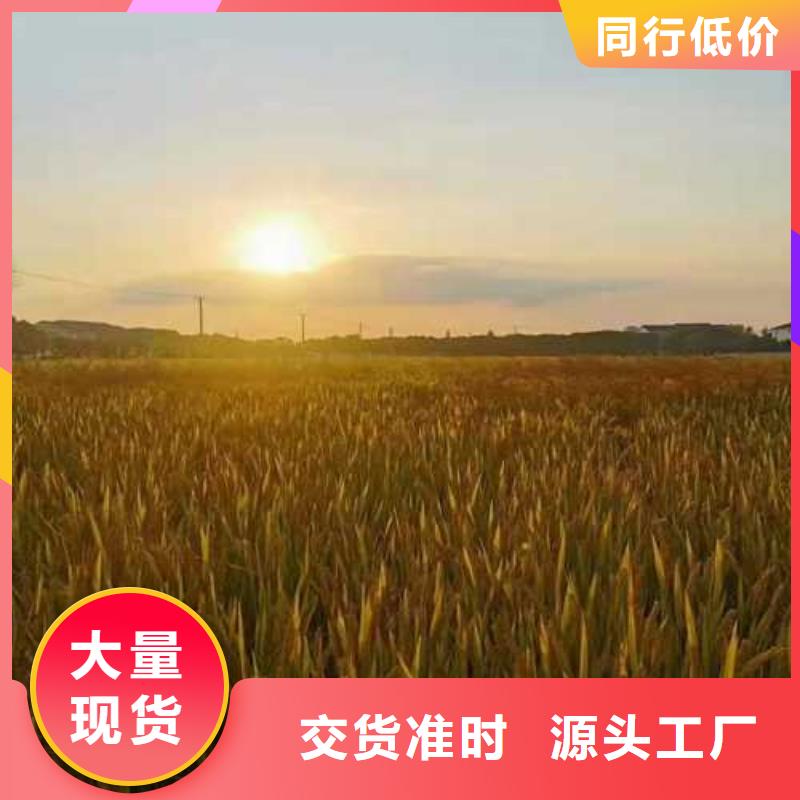 网上订购大闸蟹-视频-阳江市网上订购大闸蟹-附近可服务区域阳春|阳西|珠海|潮州|中山|佛山