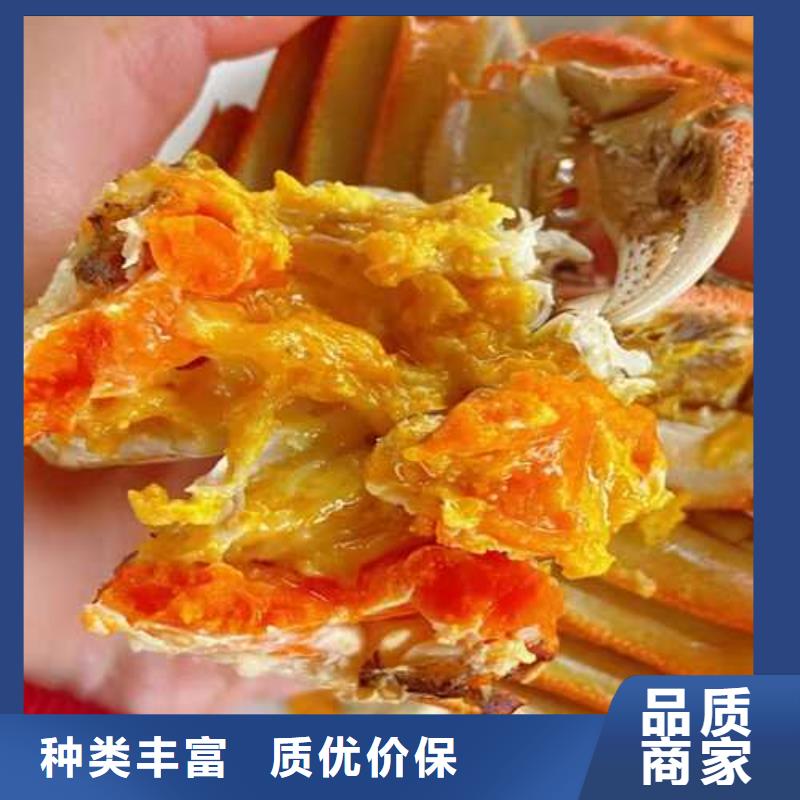 网上订购大闸蟹-视频-阆中|营山|攀枝花|雅安|绵阳|巴中|宜宾网上订购大闸蟹支持加工定制-阳澄湖镇岛顾记大闸蟹经营部(南充市分公司)