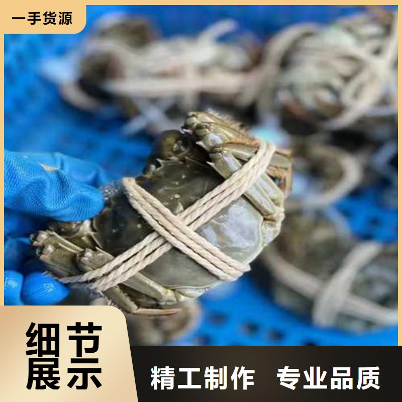 网上订购大闸蟹-视频-网上订购大闸蟹-阳澄湖镇岛顾记大闸蟹经营部(亳州市分公司)服务区域谯城|利辛|阜阳|宣城|池州|六安