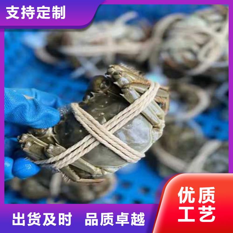 网上订购大闸蟹-视频-阆中|营山|攀枝花|雅安|绵阳|巴中|宜宾网上订购大闸蟹支持加工定制-阳澄湖镇岛顾记大闸蟹经营部(南充市分公司)