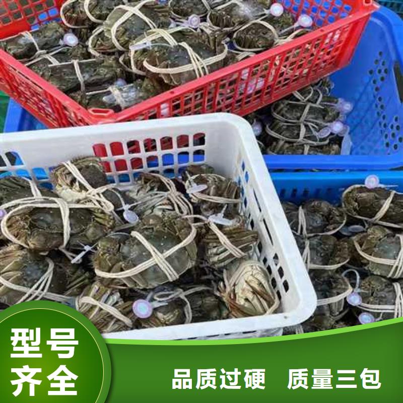 去阳澄湖买蟹哪里好在苏州阳澄湖