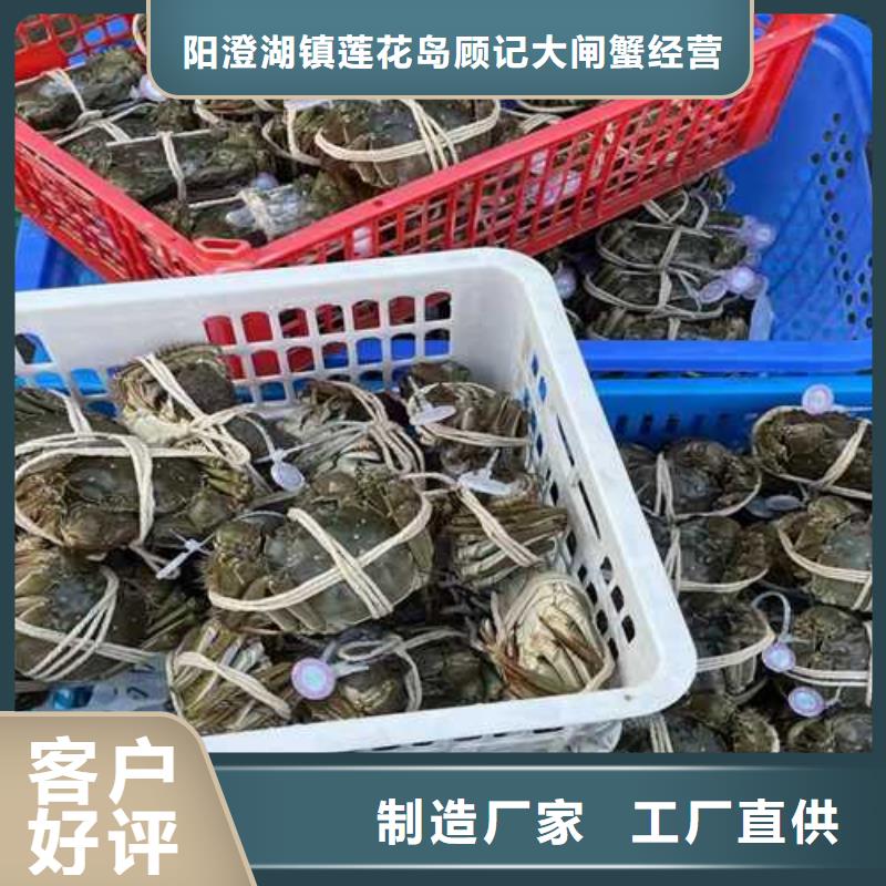 网上订购大闸蟹-视频-网上订购大闸蟹-湖北省武汉市同城生产厂家-洪山|东西湖|荆门|咸宁|恩施|孝感|黄石|十堰