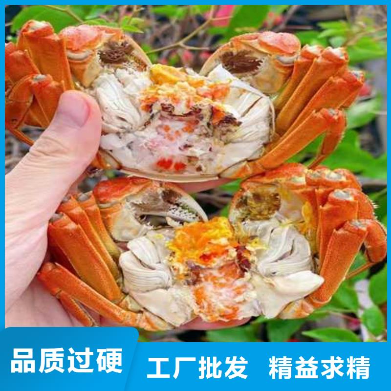 网上订购大闸蟹-视频-网上订购大闸蟹-阳澄湖镇岛顾记大闸蟹经营部(亳州市分公司)服务区域谯城|利辛|阜阳|宣城|池州|六安
