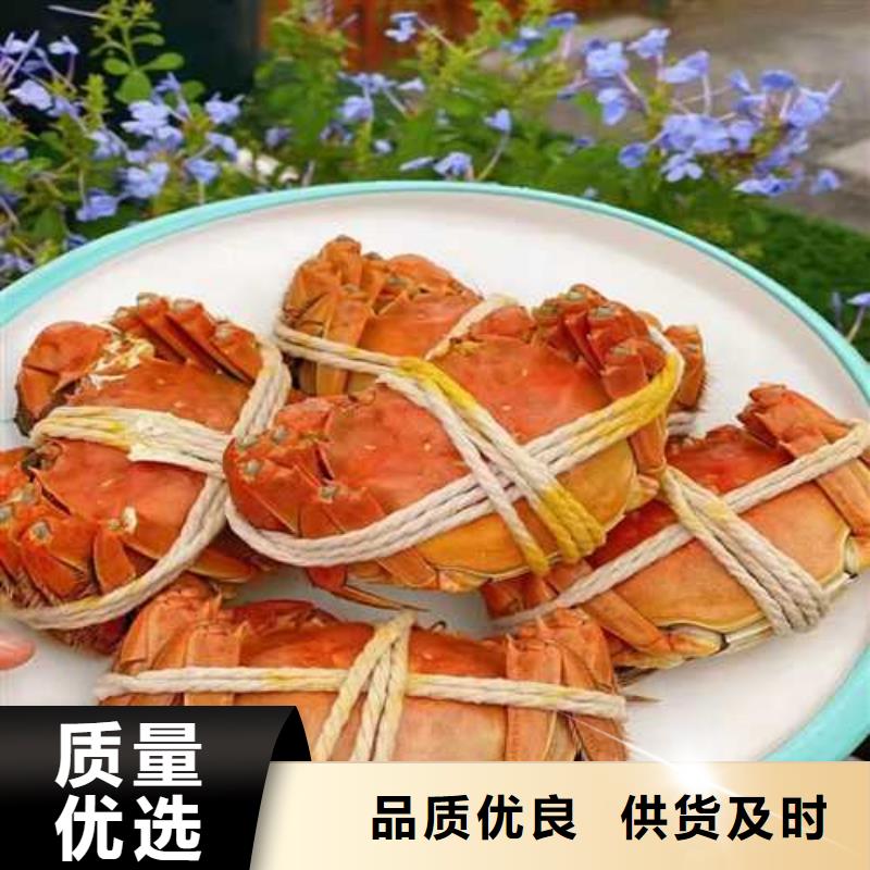 网上订购大闸蟹-视频-网上订购大闸蟹_湖北省市场覆盖十堰|黄冈|咸宁|孝感|黄石等
