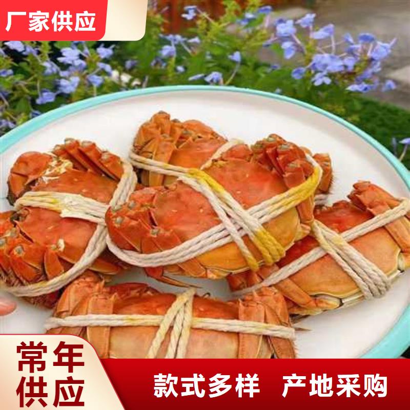 网上订购大闸蟹-视频-香洲|金湾|肇庆|惠州|深圳|汕头|韶关|东莞顾记网上订购大闸蟹_ 阳澄湖镇岛顾记大闸蟹经营部(珠海市分公司)