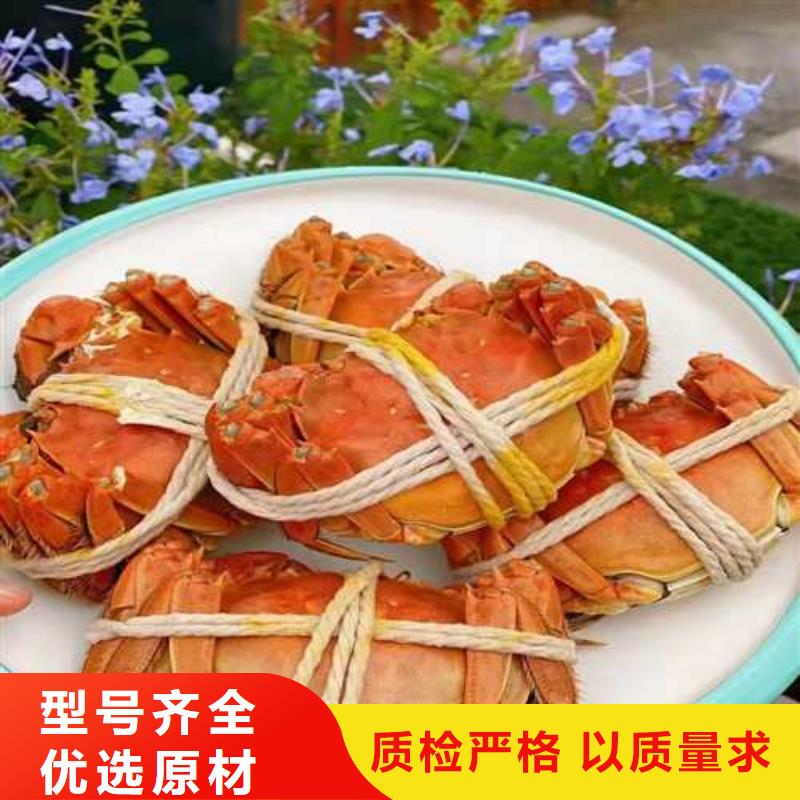 网上订购大闸蟹-视频-网上订购大闸蟹-阳澄湖镇岛顾记大闸蟹经营部(亳州市分公司)服务区域谯城|利辛|阜阳|宣城|池州|六安