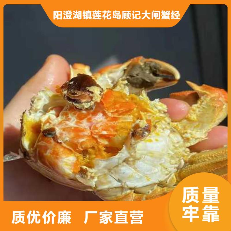 网上订购大闸蟹-视频-网上订购大闸蟹|甘肃省白银市|会宁|景泰|天水|平凉|甘南|兰州|定西|武威