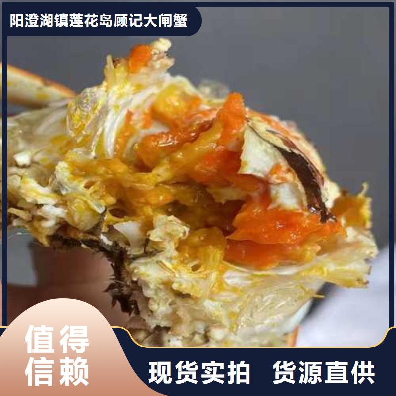 阳澄湖买蟹哪家好吃苏州这里好