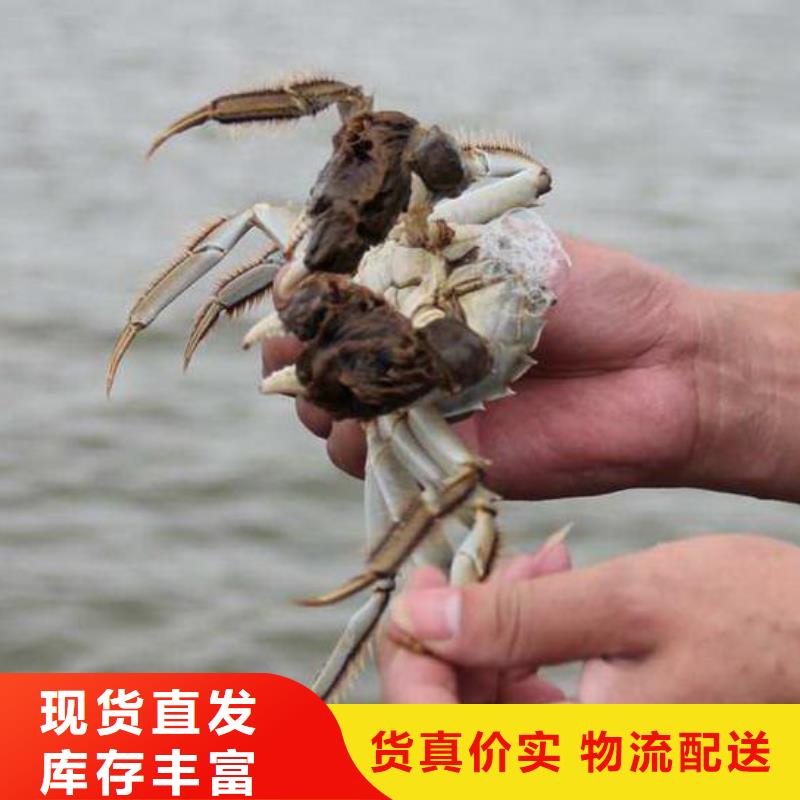 网上订购大闸蟹-视频-网上订购大闸蟹_直辖香港市场覆盖等