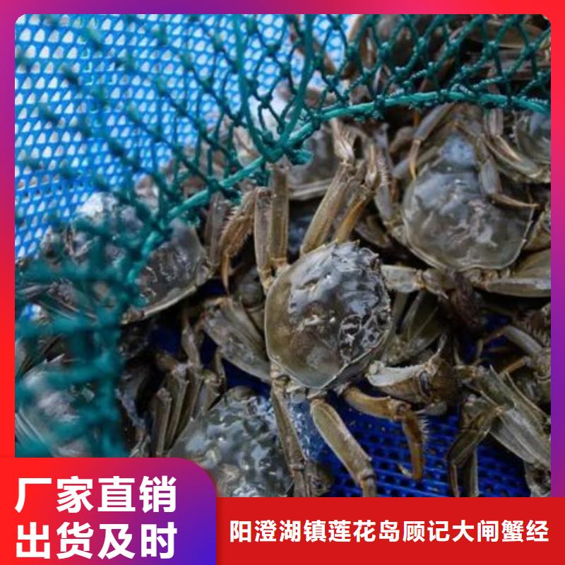 网上订购大闸蟹-视频-网上订购大闸蟹_湖北省市场覆盖十堰|黄冈|咸宁|孝感|黄石等