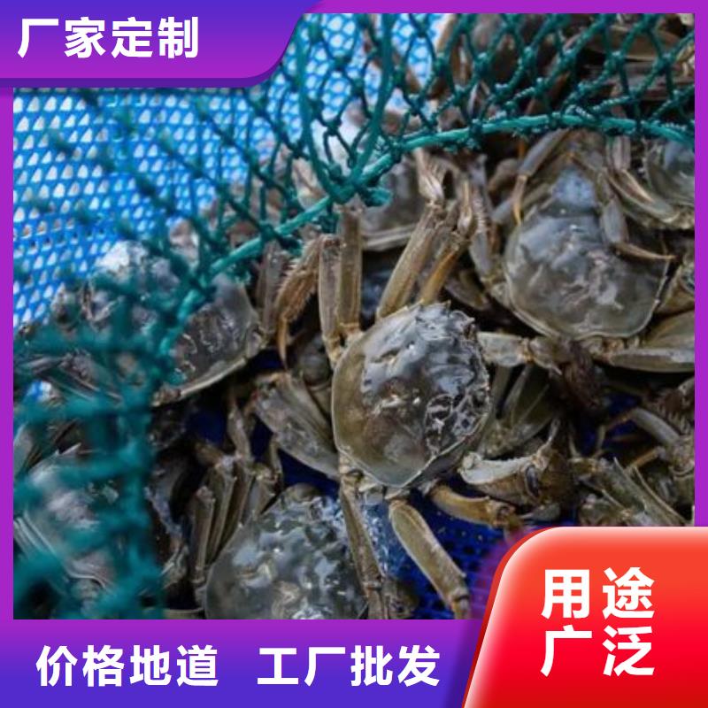 专业厂家直销螃蟹