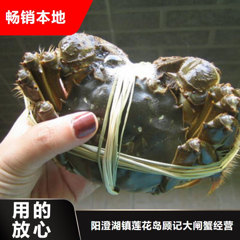 网上订购大闸蟹-视频-阳江市网上订购大闸蟹-附近可服务区域阳春|阳西|珠海|潮州|中山|佛山