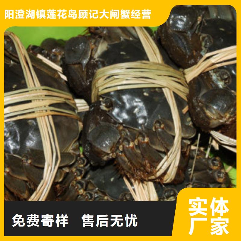 去阳澄湖大闸蟹哪家正宗在苏州莲花岛