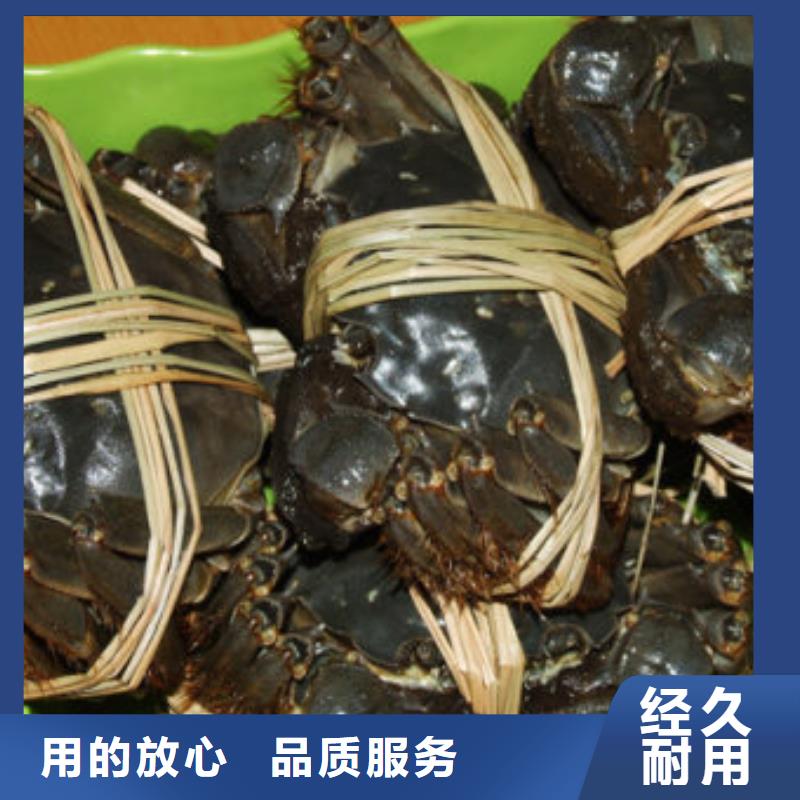 阳澄湖买大闸蟹哪家好苏州这里好