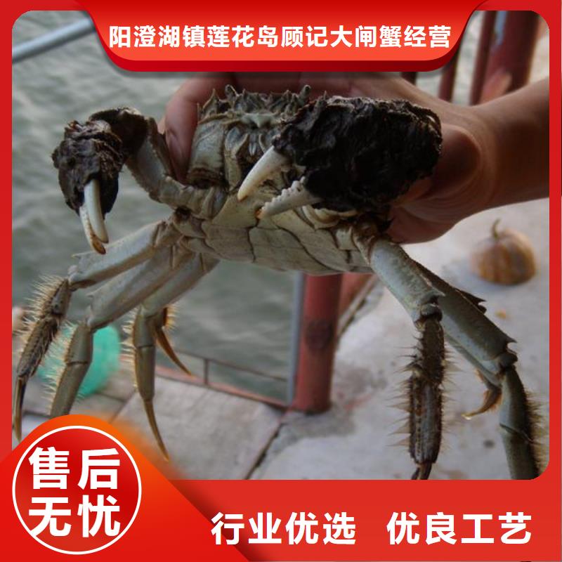 网上订购大闸蟹-视频-香洲|金湾|肇庆|惠州|深圳|汕头|韶关|东莞顾记网上订购大闸蟹_ 阳澄湖镇岛顾记大闸蟹经营部(珠海市分公司)