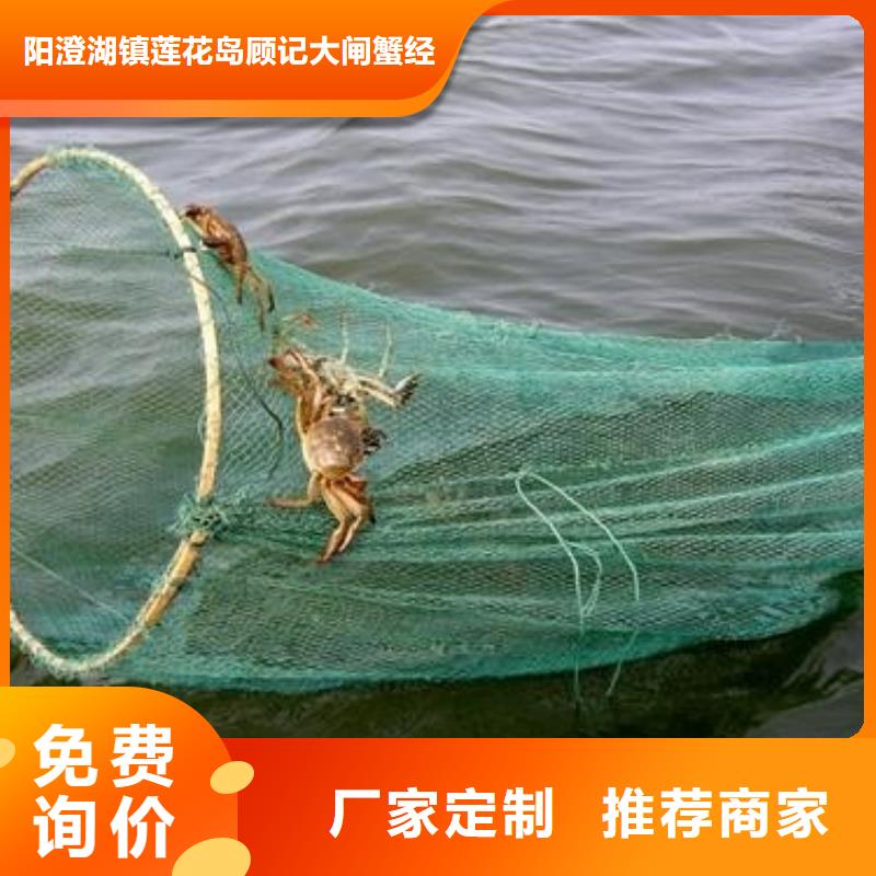 阳澄湖买蟹哪家好吃苏州这里好