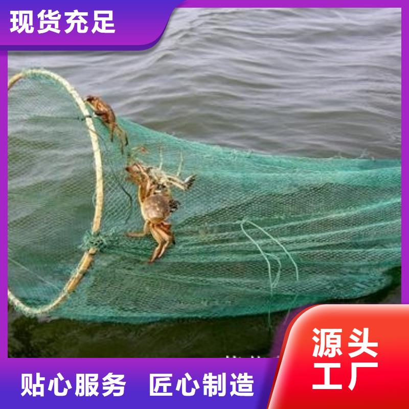 定制大闸蟹的当地厂家