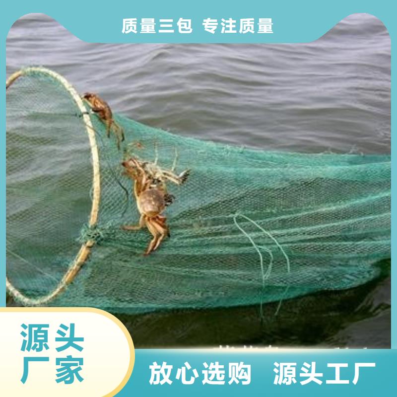 去阳澄湖蟹哪家正宗在苏州阳澄湖