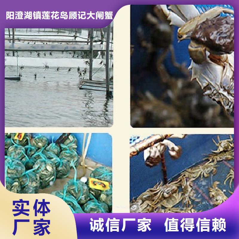 定制大闸蟹的当地厂家