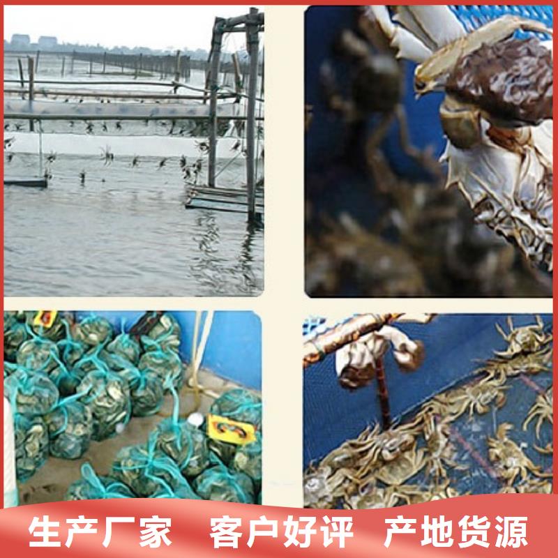 网上订购大闸蟹-视频-阳江市网上订购大闸蟹-附近可服务区域阳春|阳西|珠海|潮州|中山|佛山