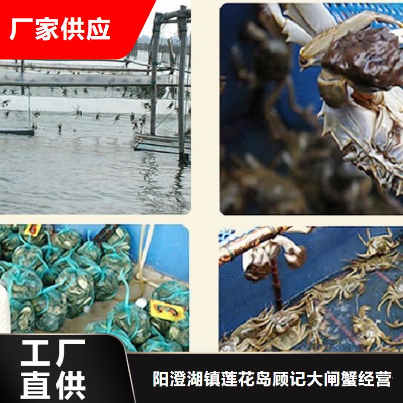去阳澄湖大闸蟹哪家正宗在苏州莲花岛