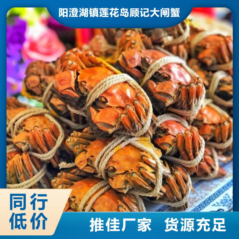 去阳澄湖蟹哪家正宗在苏州阳澄湖