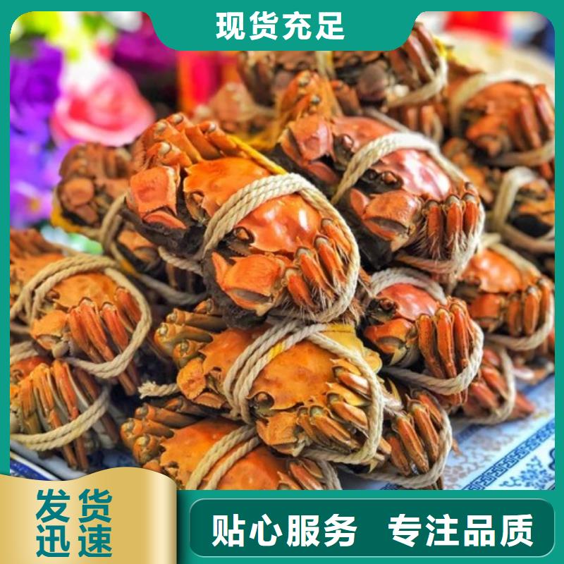 网上订购大闸蟹-视频-网上订购大闸蟹-阳澄湖镇岛顾记大闸蟹经营部(张家口市分公司)服务区域沽源|怀来|沧州|廊坊|邯郸|秦皇岛|保定