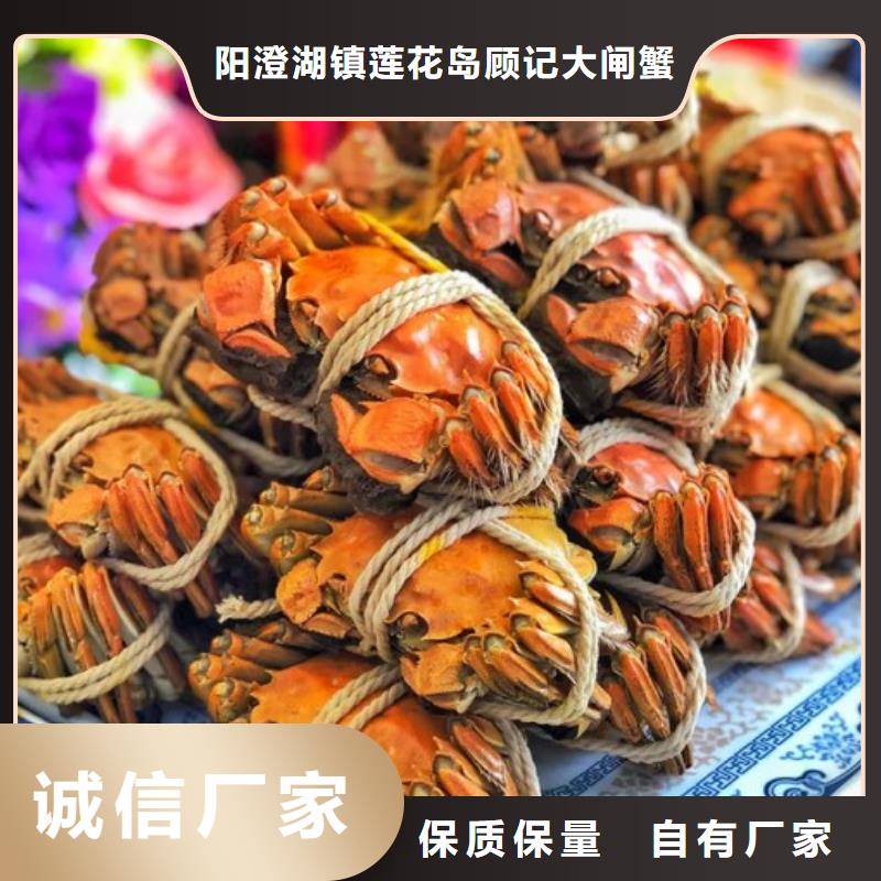 去阳澄湖大闸蟹哪家正宗在苏州莲花岛