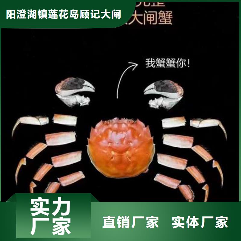 网上订购大闸蟹-视频-网上订购大闸蟹(顾记)覆盖地域云南省楚雄市姚安|牟定|普洱|怒江|迪庆|昭通|红河