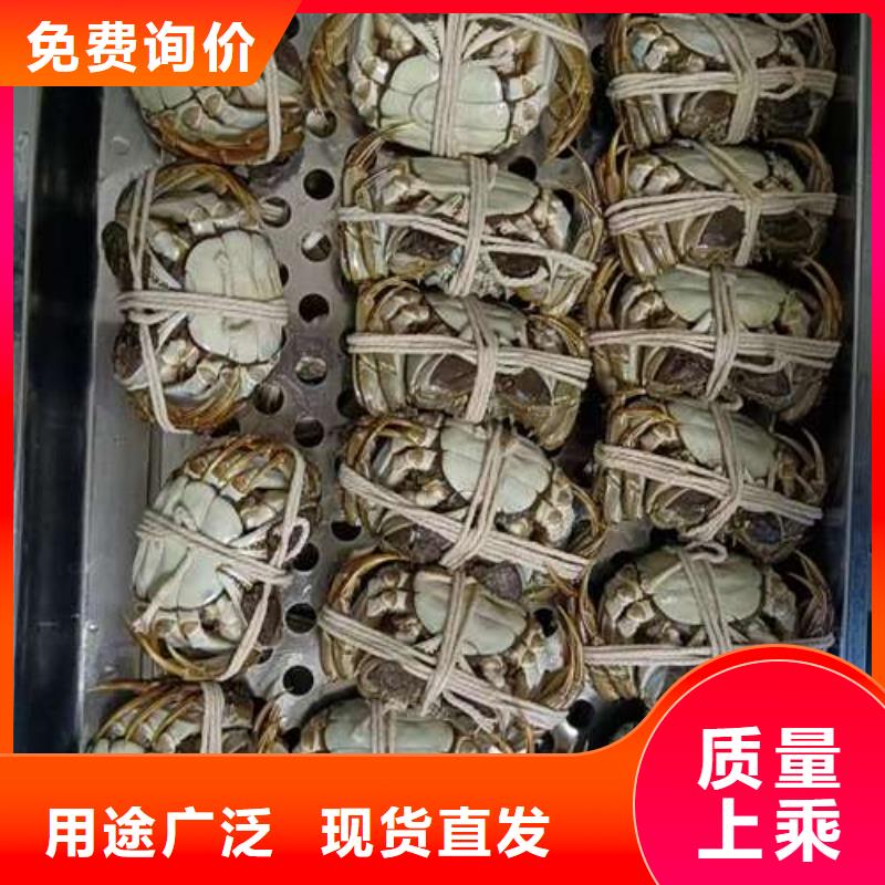 网上订购大闸蟹-视频-甘肃省临夏市顾记网上订购大闸蟹可服务区域康乐|永靖|天水|酒泉|定西|金昌等