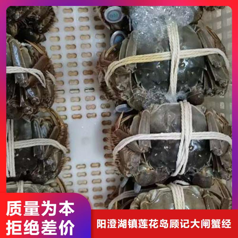 网上订购大闸蟹-视频-网上订购大闸蟹-贵州省(该地)供应商-毕节|遵义|黔西南|安顺|铜仁
