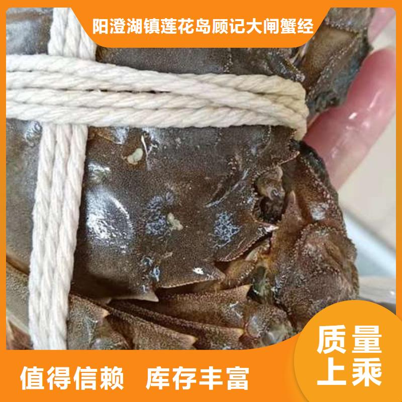 网上订购大闸蟹-视频-网上订购大闸蟹(顾记)覆盖地域湖南省湘西|湘潭|郴州|长沙|株洲|娄底