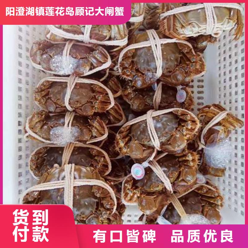 网上订购大闸蟹-视频-网上订购大闸蟹(顾记)覆盖地域四川省资阳市简阳|安岳|自贡|遂宁|内江|凉山|广元|南充|乐山