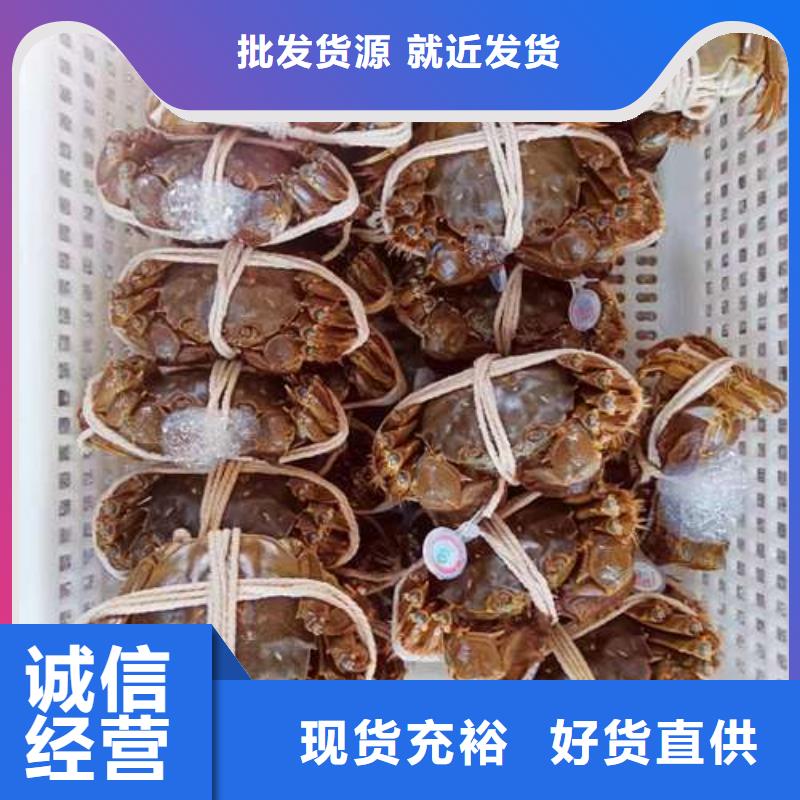 网上订购大闸蟹-视频-甘肃省临夏市顾记网上订购大闸蟹可服务区域康乐|永靖|天水|酒泉|定西|金昌等
