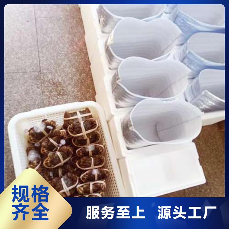 网上订购大闸蟹-视频-网上订购大闸蟹-贵州省(该地)供应商-毕节|遵义|黔西南|安顺|铜仁
